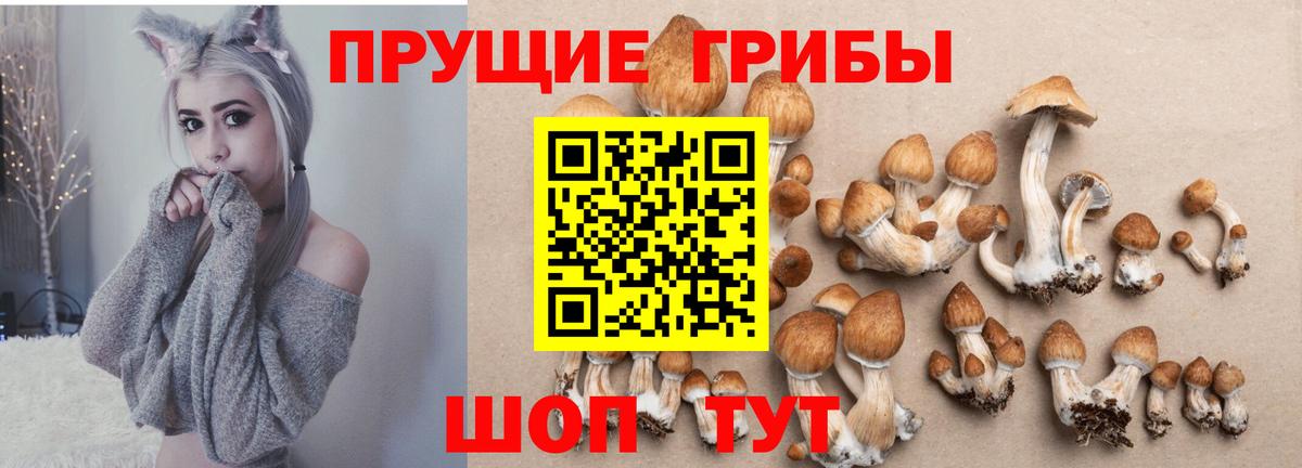 Галлюциногенные грибы MAGIC MUSHROOMS  Галлюциногенные грибы Cubensis  даркнет сайт  Нягань  Вход с VPN 